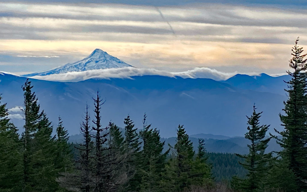 Cedar Creek – Alway Trail Loop, WA