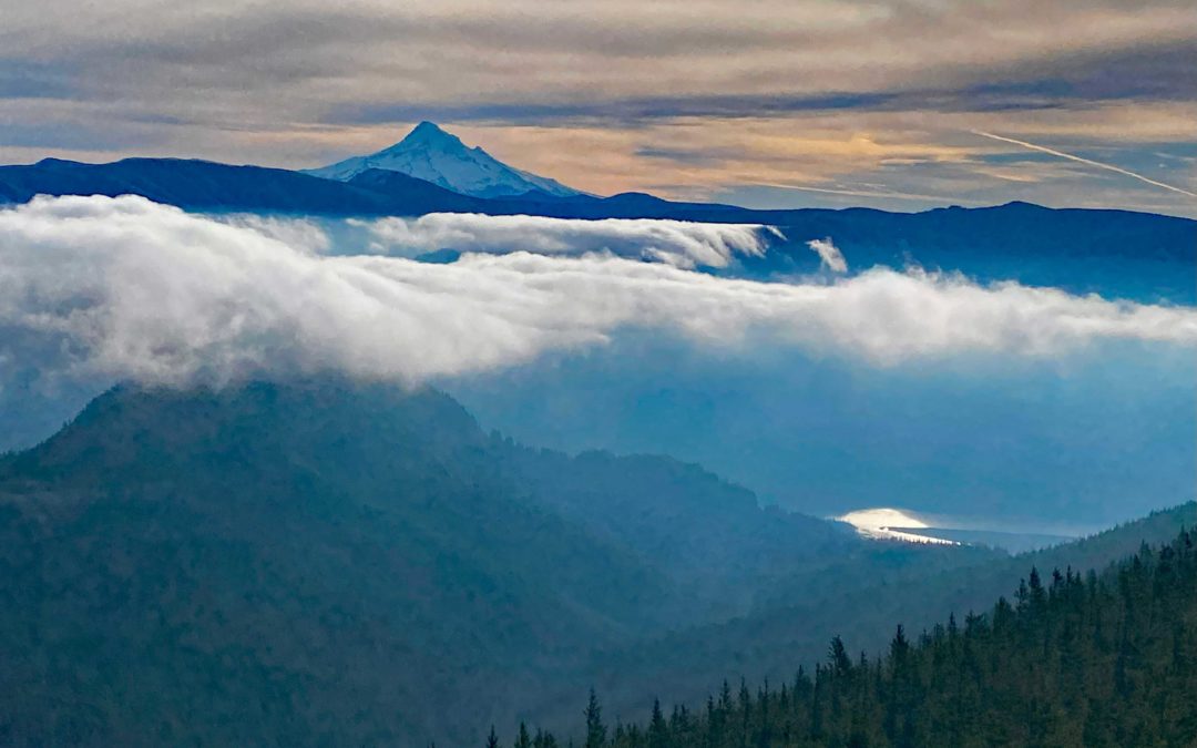 Phlox Point, WA