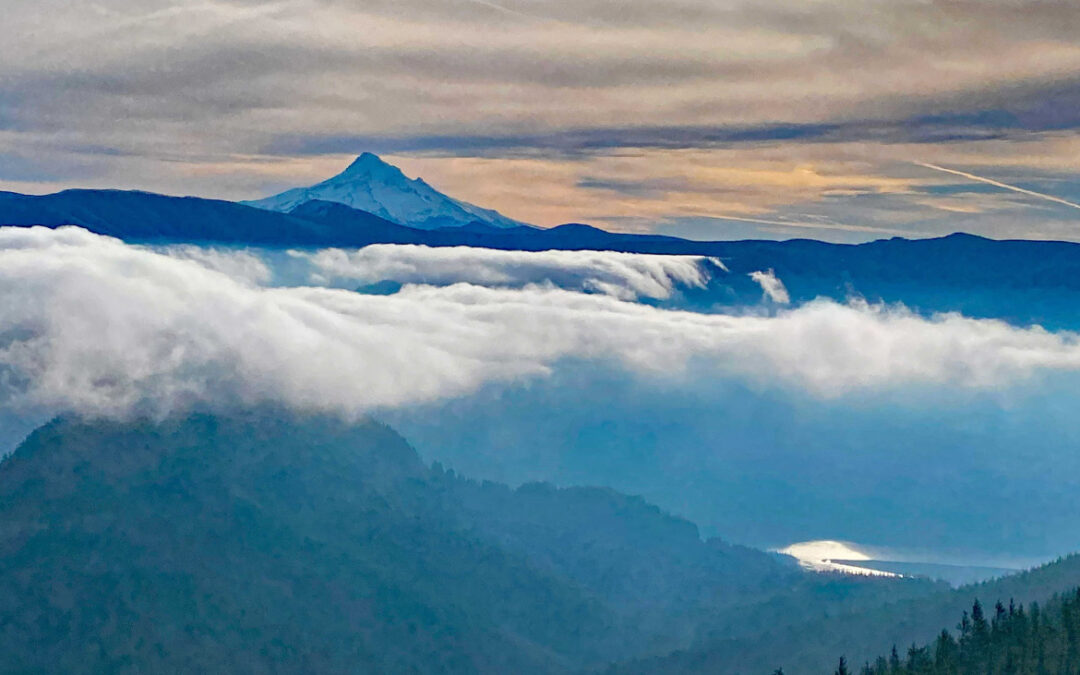 Kueffler Road – Phlox Point, WA