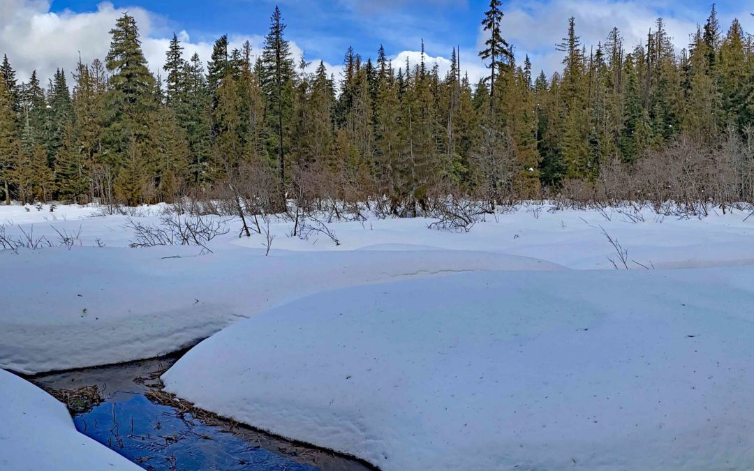 Enid Lake, OR