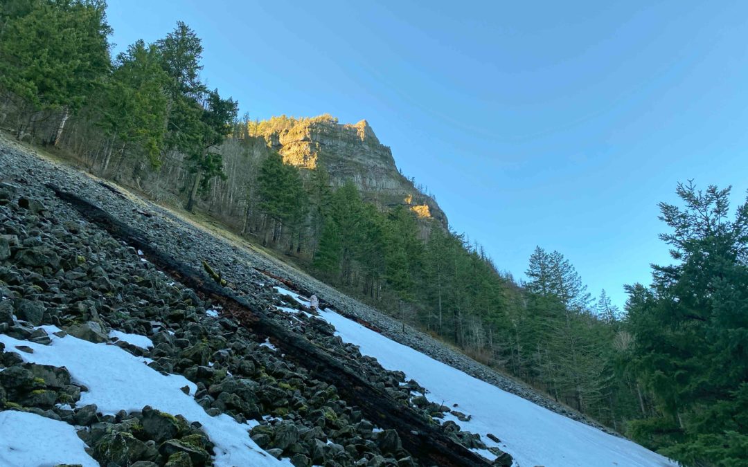 Wyeth-Herman Creek Trail, OR