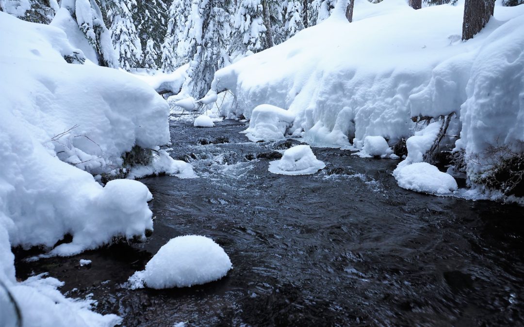 Pocket Creek, OR