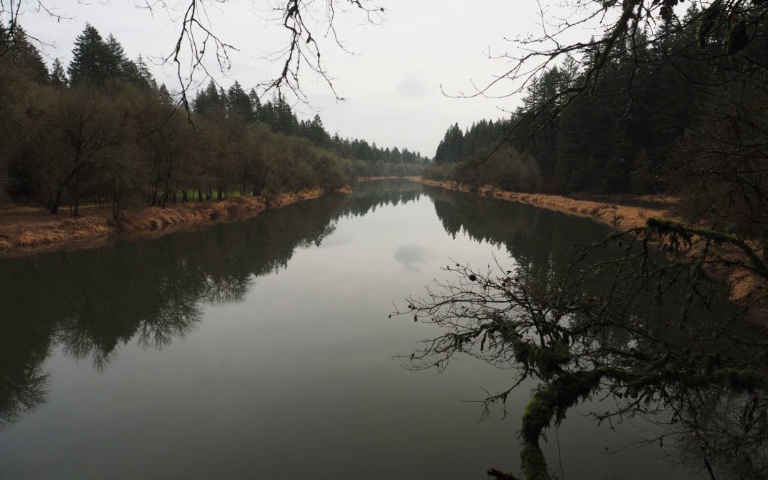 Paradise Point State Park, WA