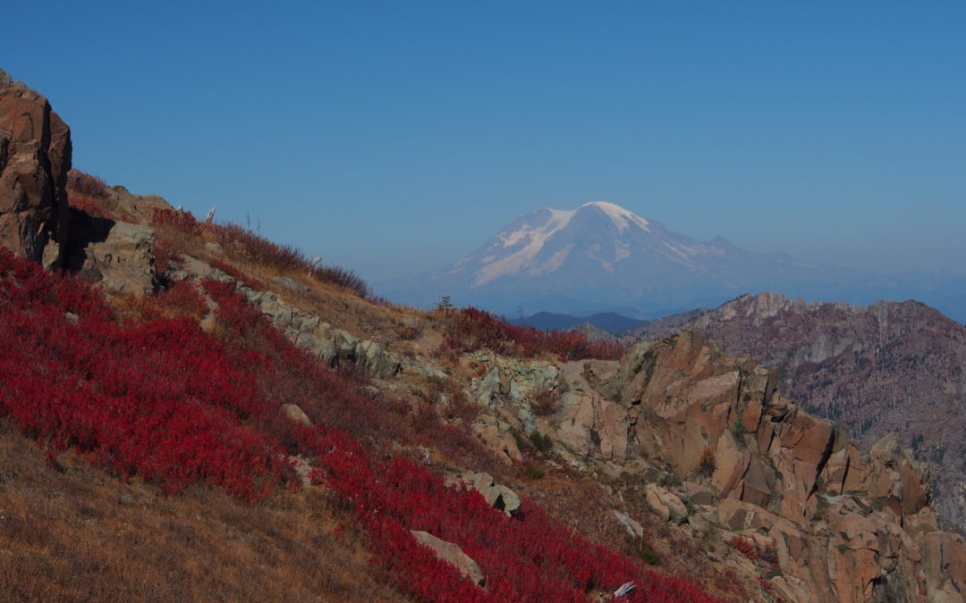 Johnston Ridge – Coldwater Peak, WA