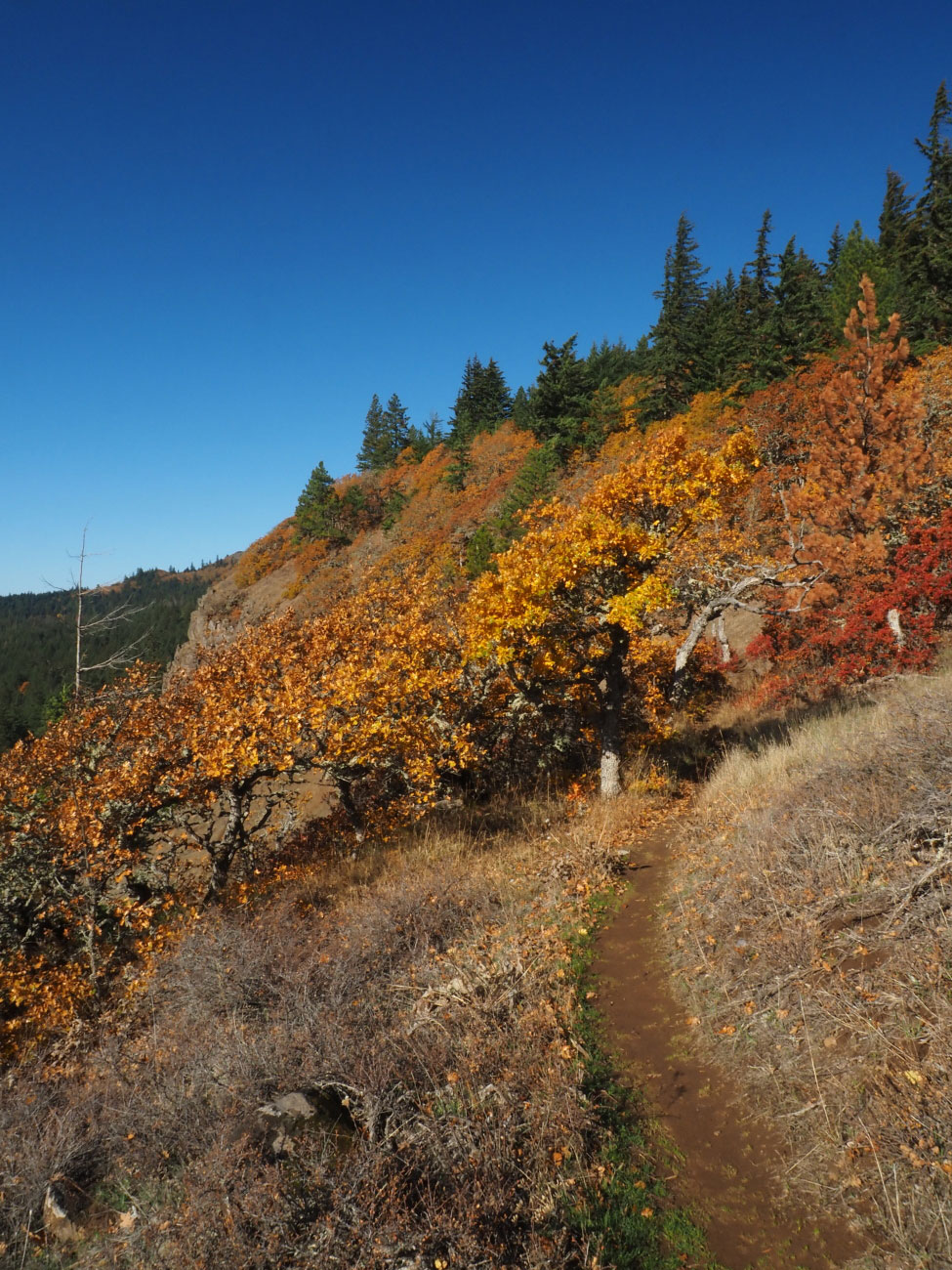 Coyote Wall in the Columbia River Gorge
