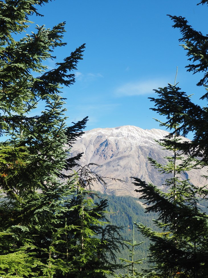 Mt. St. Helens Cinnamon Trail