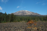 Mt. St. Helens Cinnamon Trail