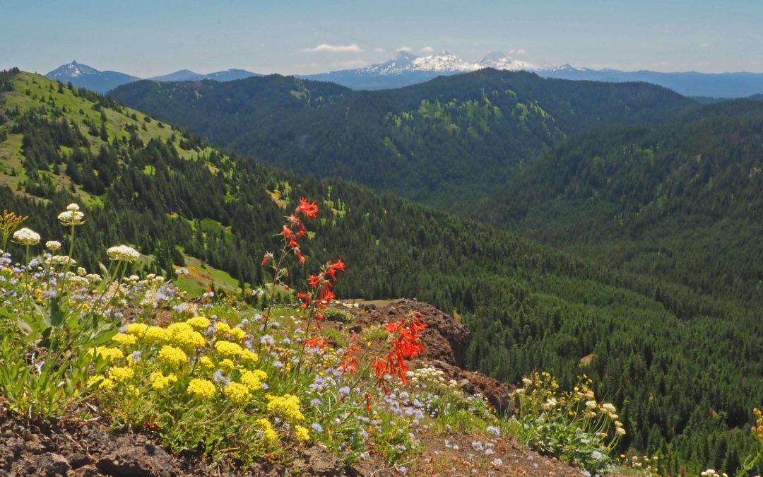 Cone Peak – Iron Mountain, OR