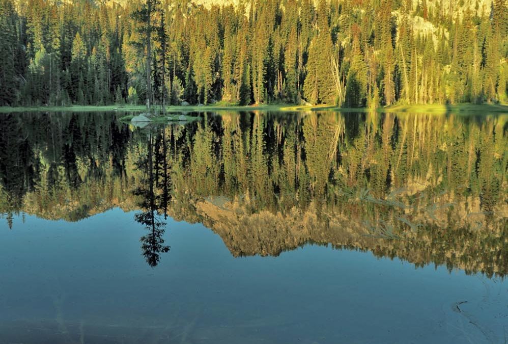 Elkhorn Crest Trail, OR