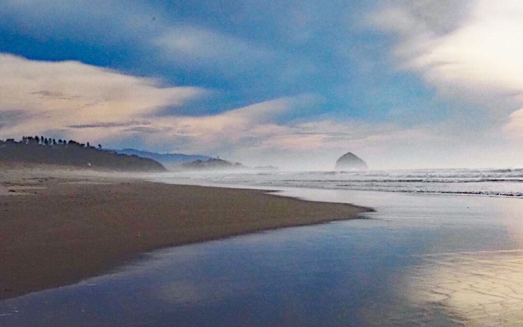 Sitka Sedge Natural Area, OR