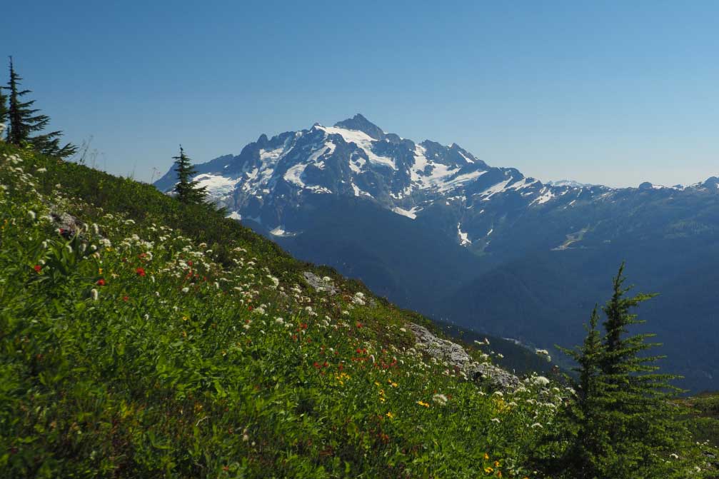 Yellow Aster Butte Trail, WA