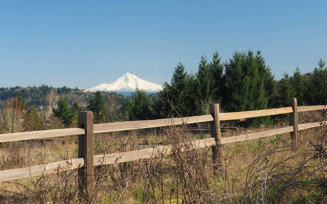 Powell Butte, OR