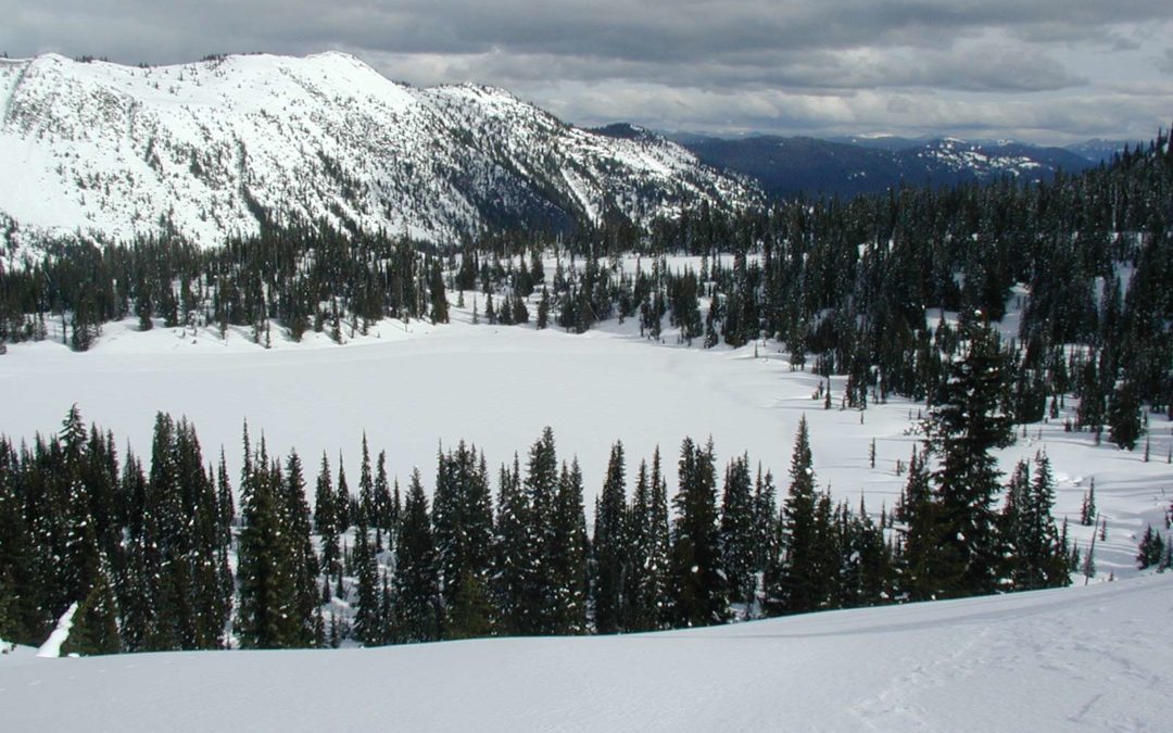 Narada Falls to Reflection Lakes Snowshoe, WA