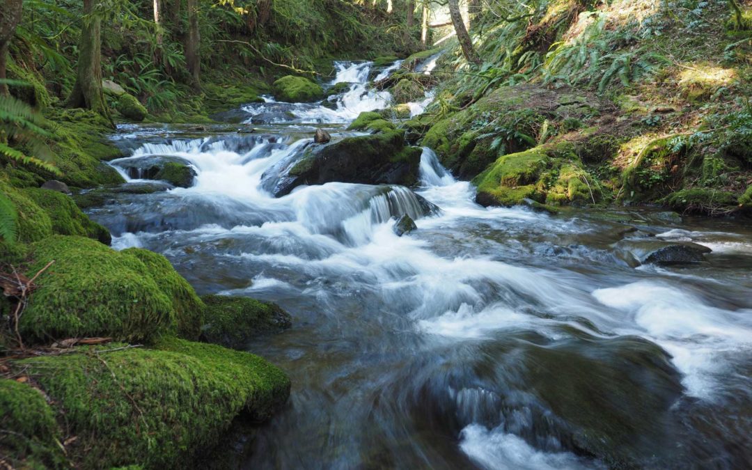 Duncan Creek, WA