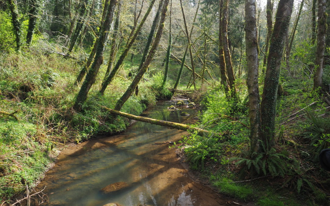 Tryon Creek, OR