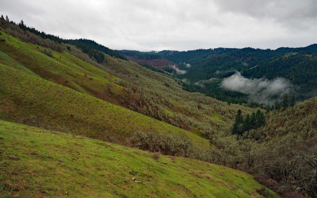 Weldon Wagon Trail, WA