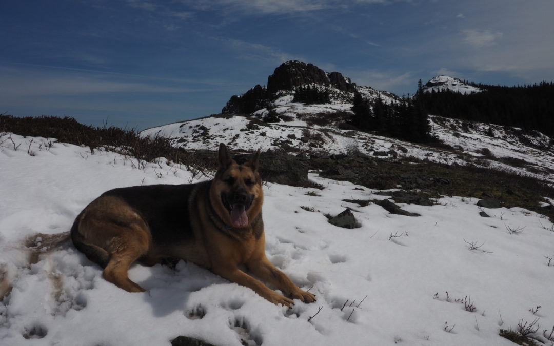 Silver Star Mountain, WA