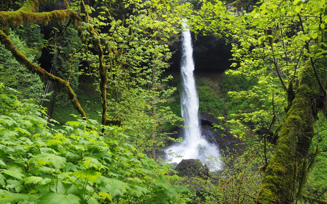 Silver Falls, OR