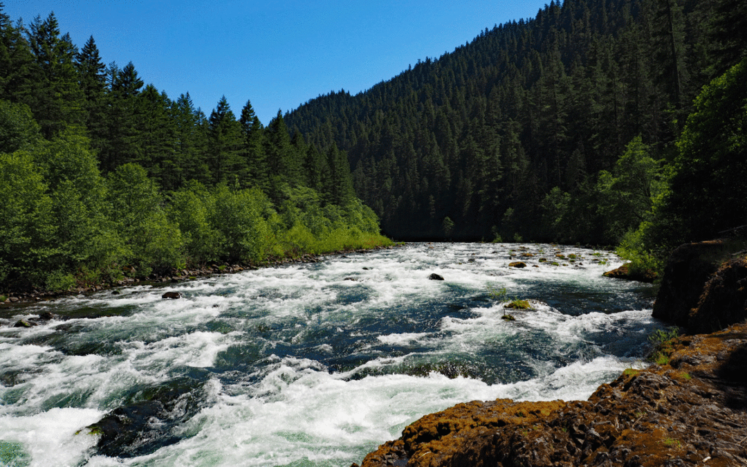 Clackamas River Trail, OR