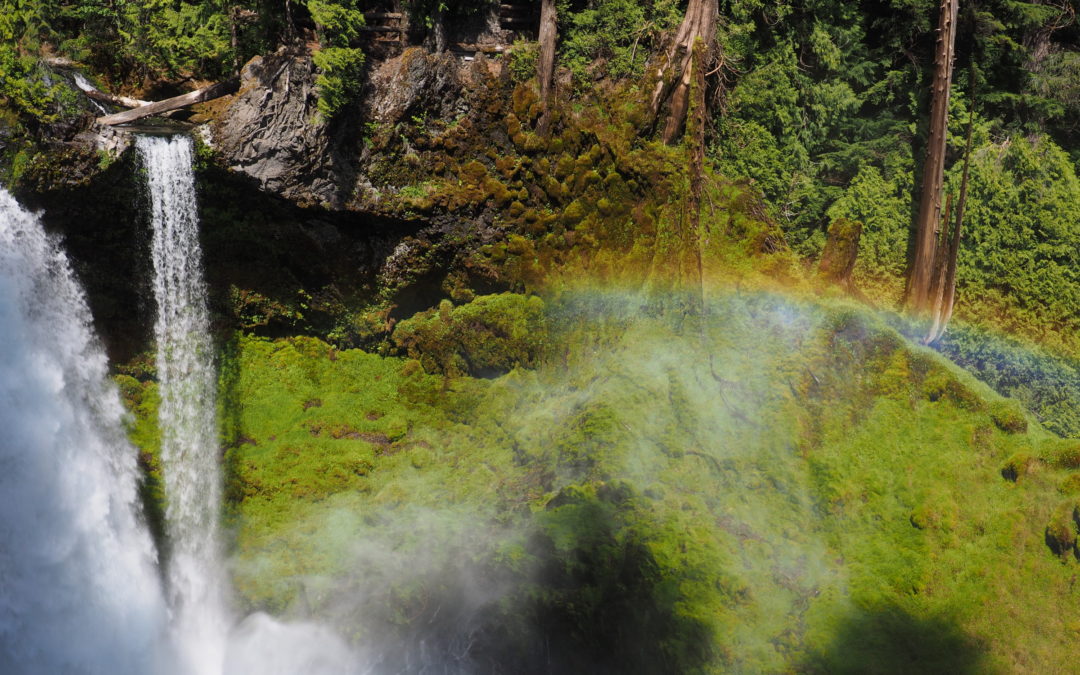 McKenzie River, OR