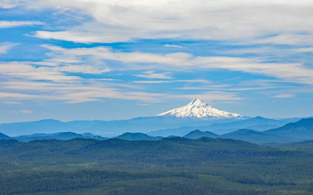 Sleeping Beauty, WA