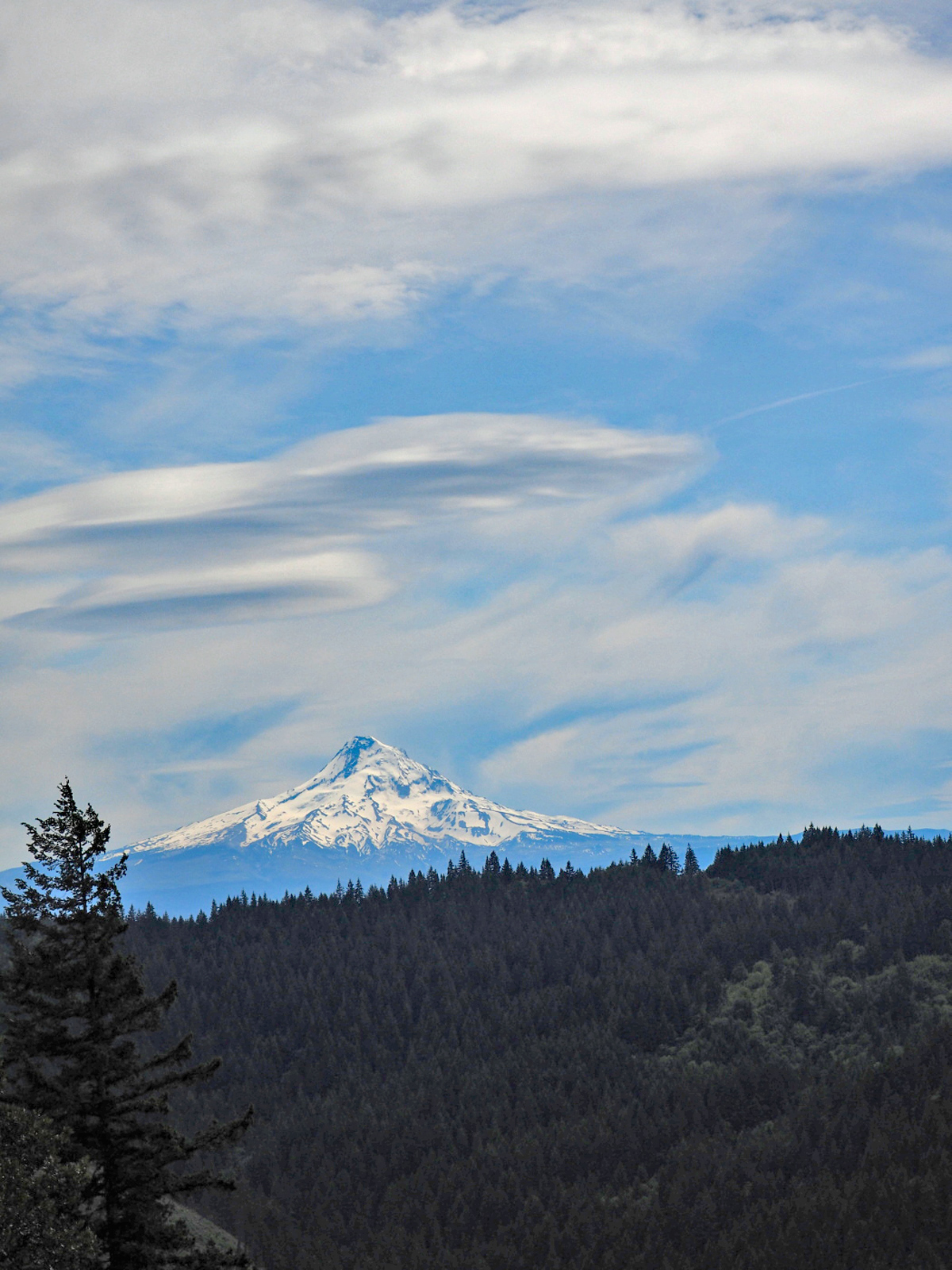 Mt. Hood from the Weldon Wagon Trail