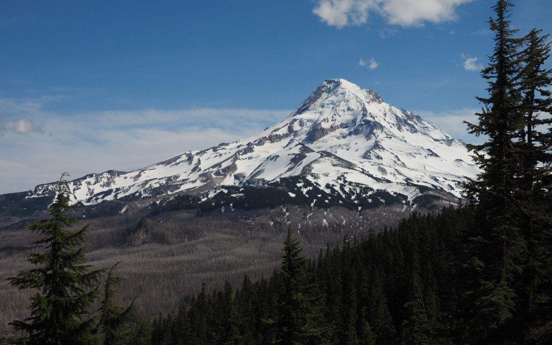 Mt. Hood from Owl Point