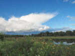 Jackson Bottom Wetlands, OR