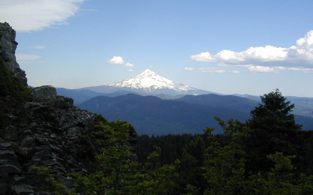 Mt. Hood from Larch Mountain