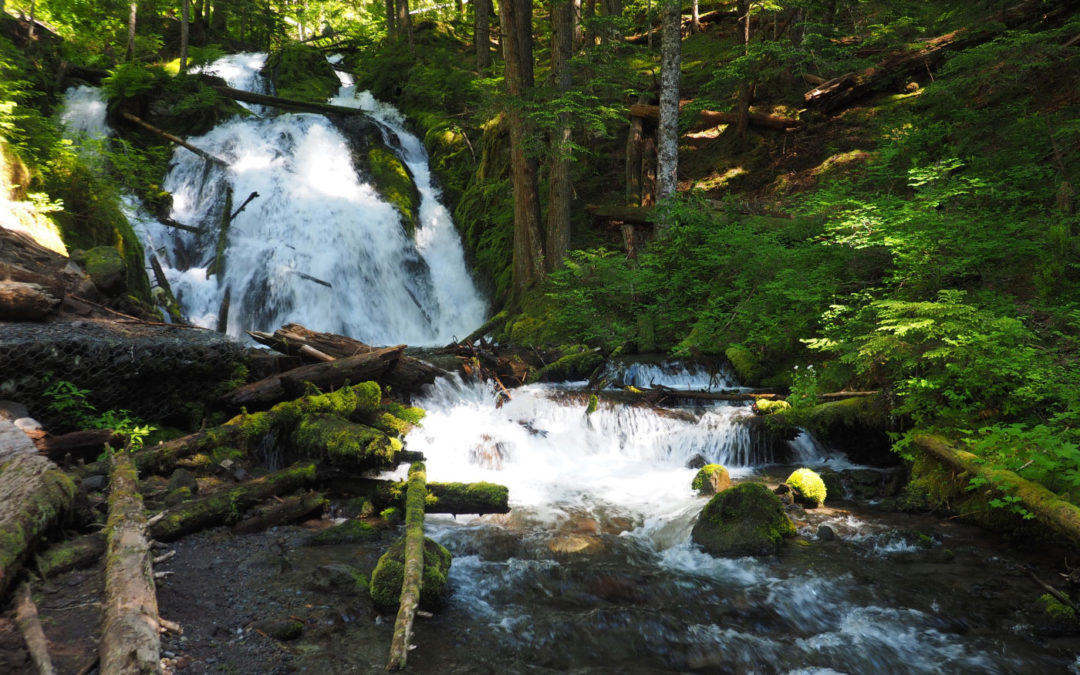 Little Zigzag Falls, OR