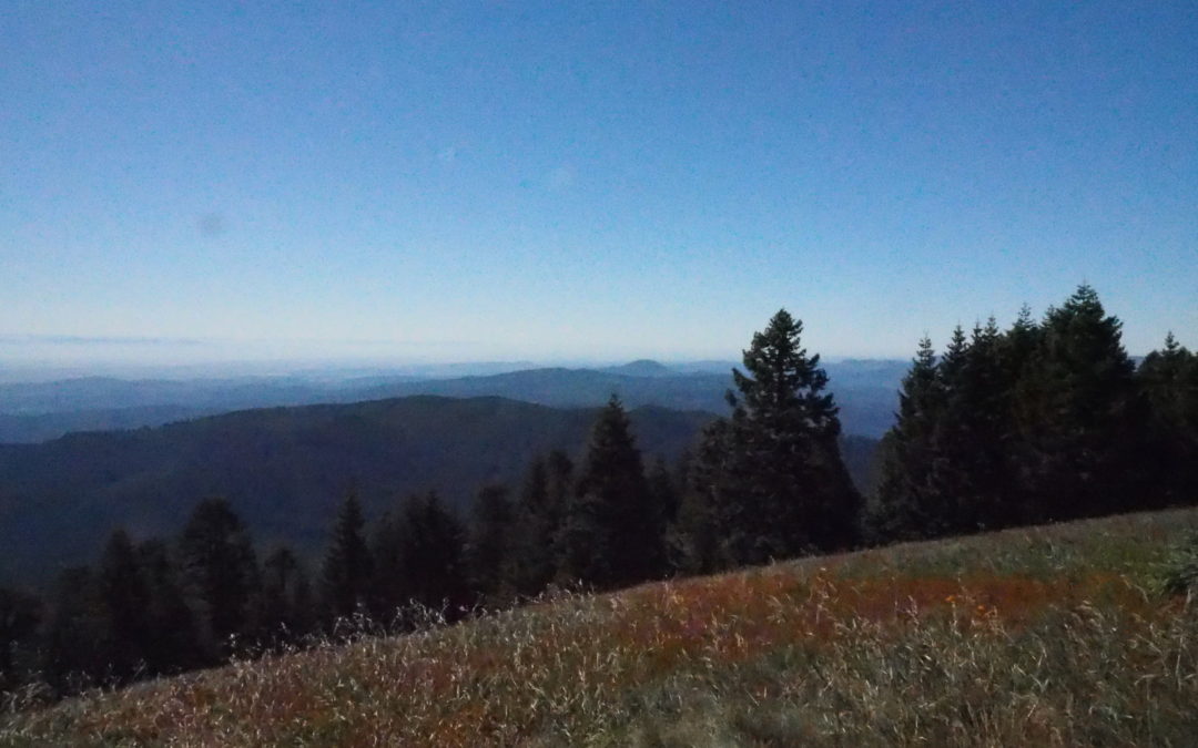 Marys Peak Trail, OR