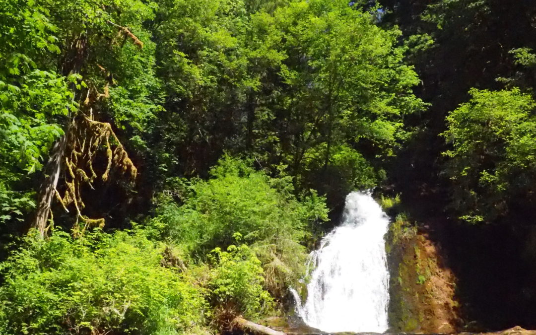 Alsea Falls, OR