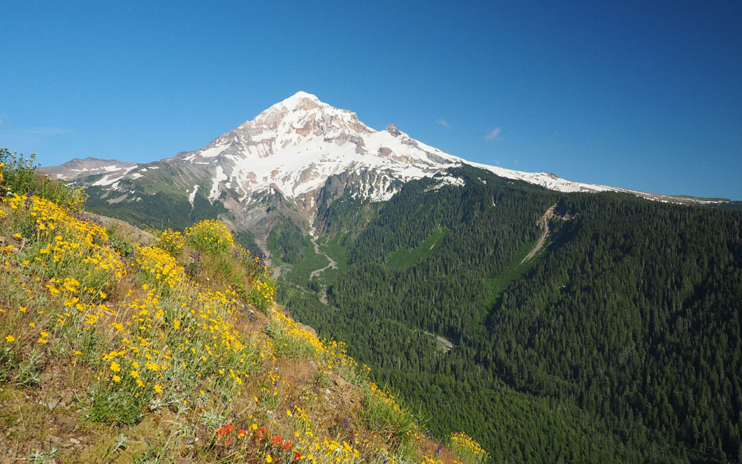 Timberline Trail at Bald Mountain