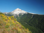 Timberline Trail at Bald Mountain