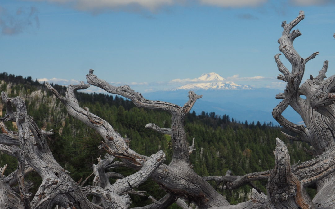 Elk Meadows – Meadows, OR