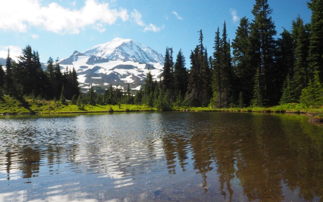 Spray Park Loop, WA