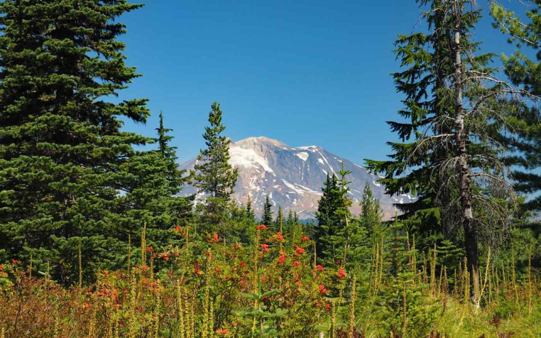 Sawtooth Mountain, WA