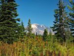 Sawtooth Mountain, WA