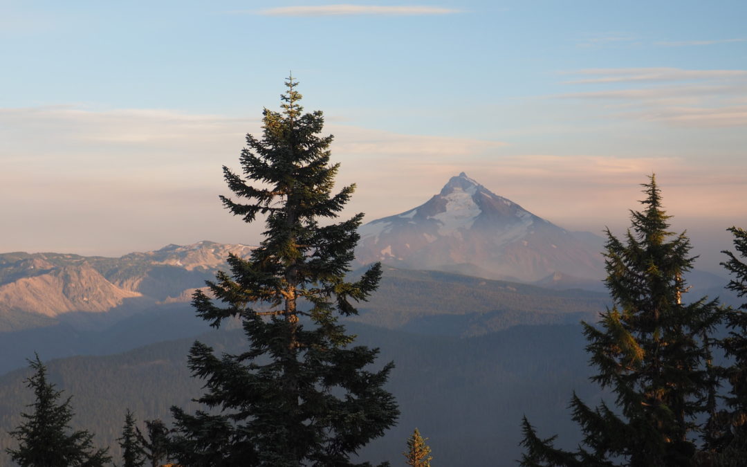 Rho Ridge Trail, OR