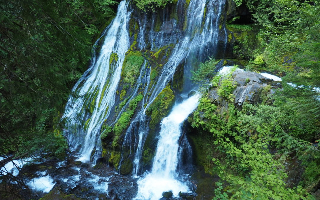 Panther Creek Falls, WA