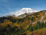 Mt. Rainier