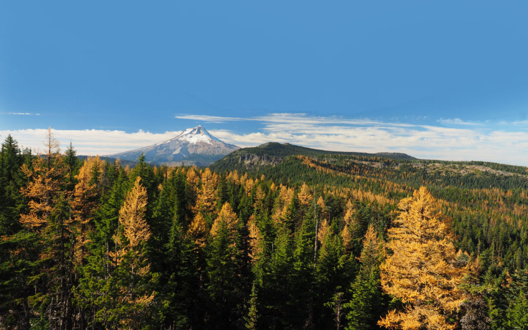 Fret Creek Trail, OR