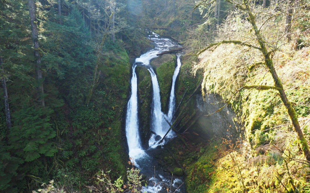 Oneonta – Franklin Ridge Loop, OR