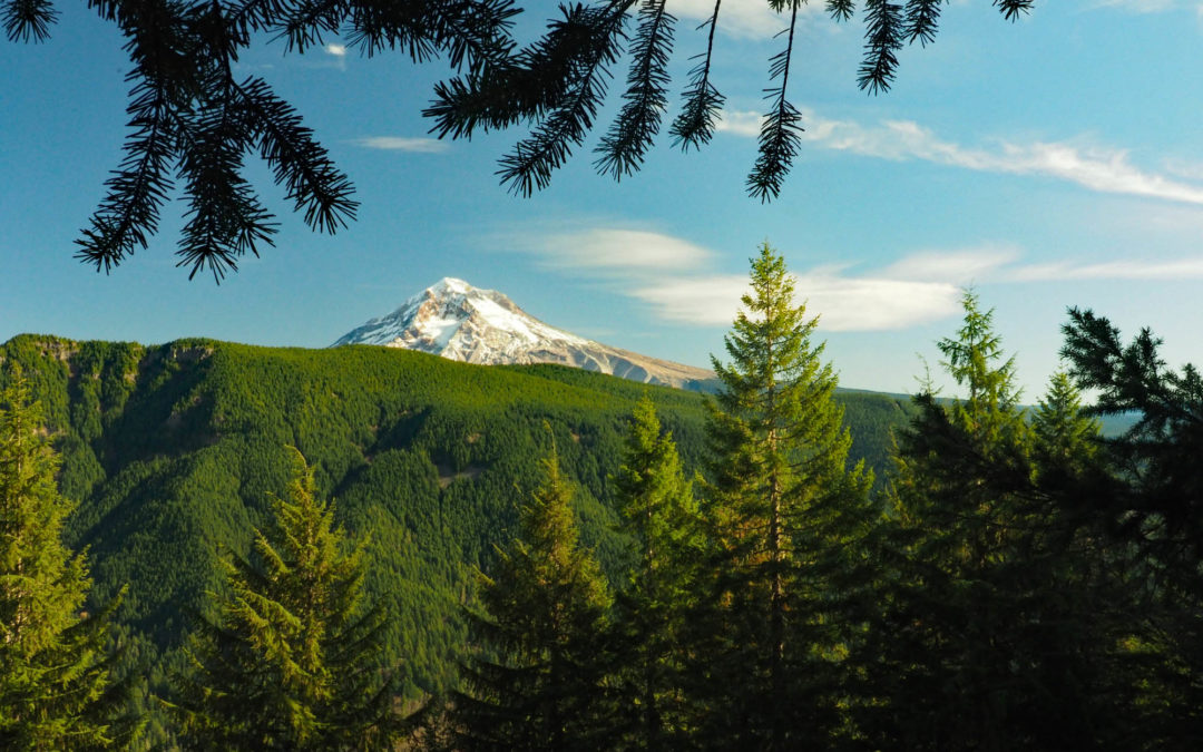 Hunchback Mountain, OR