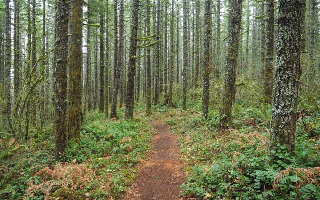 Silver Shadow Trail, WA