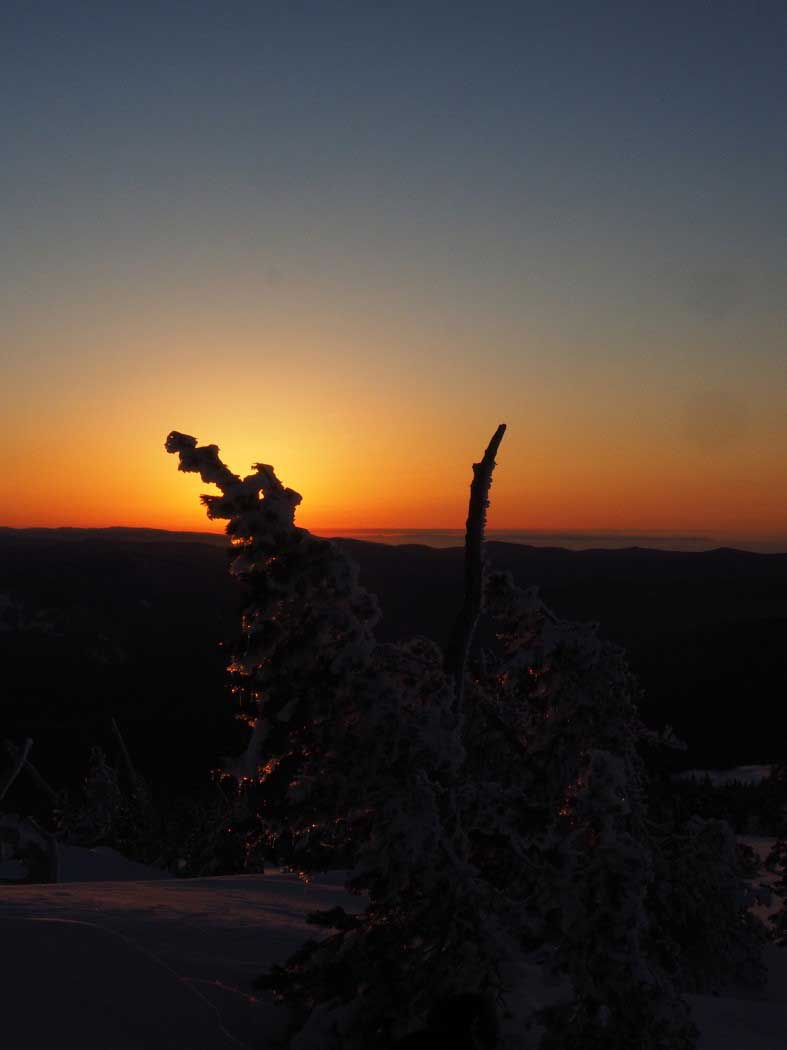 Mt. Hood