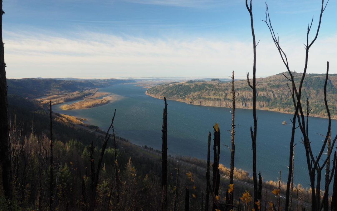 Angel’s Rest, OR