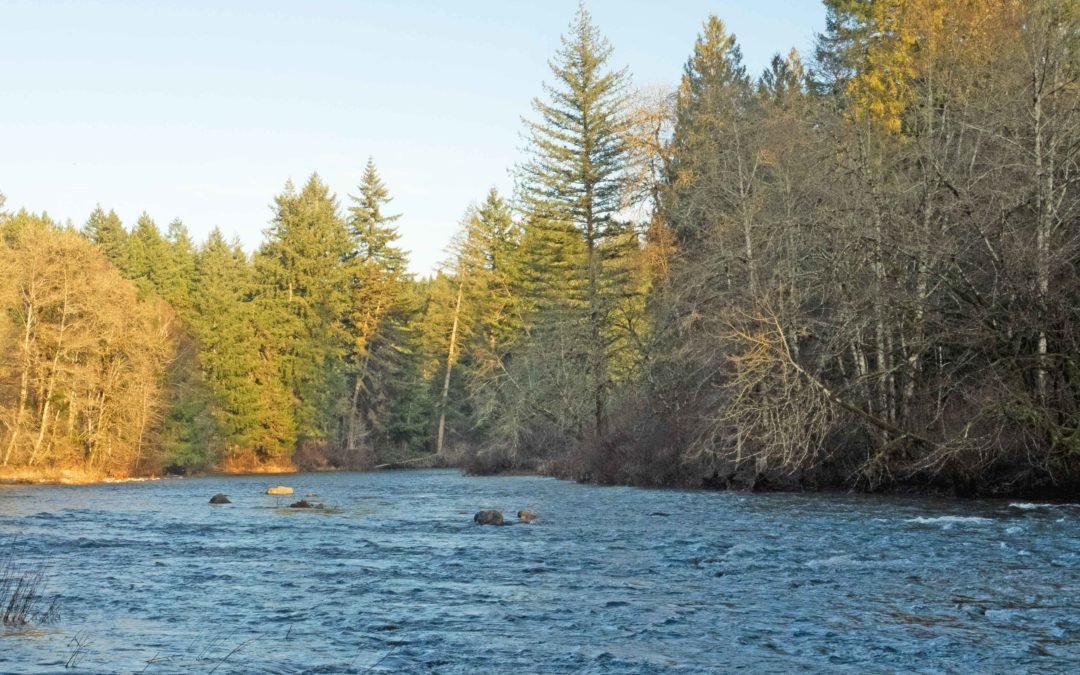 Lewisville Park, WA