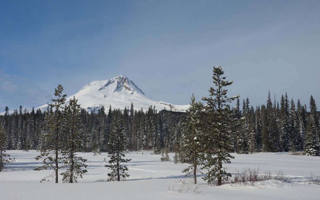 Elk Meadows Snowshoe, OR