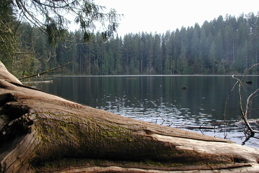 Battle Ground Lake, WA